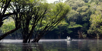 Three Ecosystems
