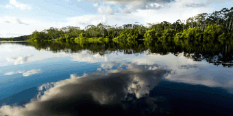 M/V Cattleya – Amazon RIver - Peruvian Amazon Expedition