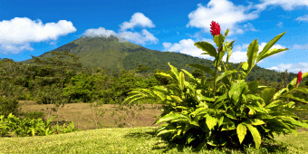 Romance in Costa Rica