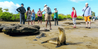 Galapagos Sea Star Journey - Cruise B