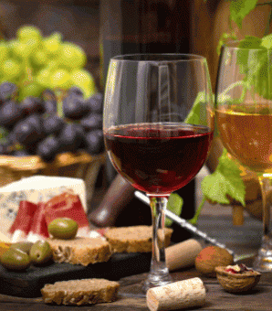 Gastronomy & Wines
