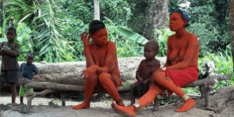 Pygmies of the Congo