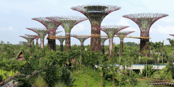 A Glimpse of Singapore