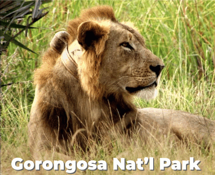 Discover Mozambique