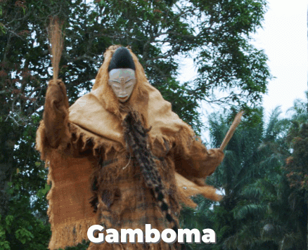 Discover Nouabale-Ndoki