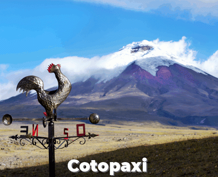 Discover the Andes