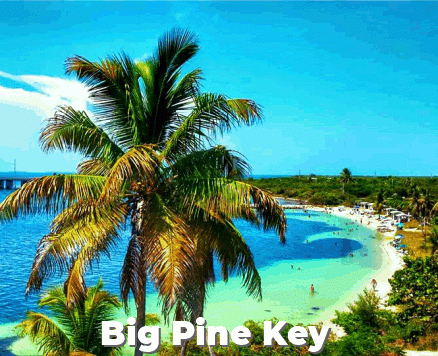 Everglades & Florida Keys
