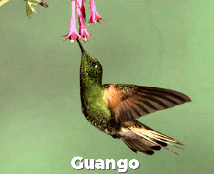 Explore Ecuador
