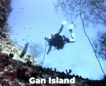 Gan Island