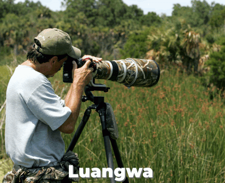 Photographic Safari in Zambia & Malawi