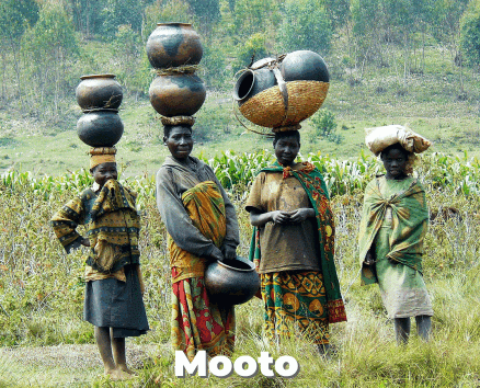 Pygmies of the Congo