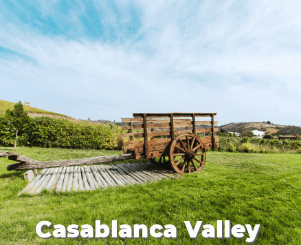 The Capital, Wines & Lakes